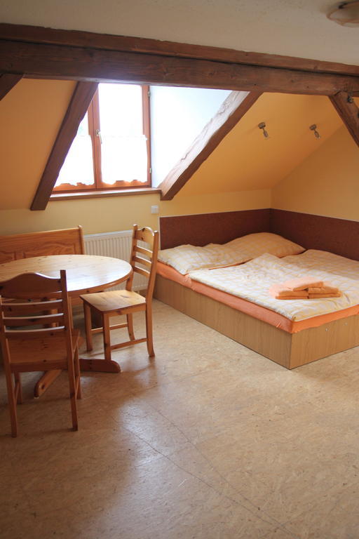 Penzion Crazy Vysoké nad Jizerou Room photo